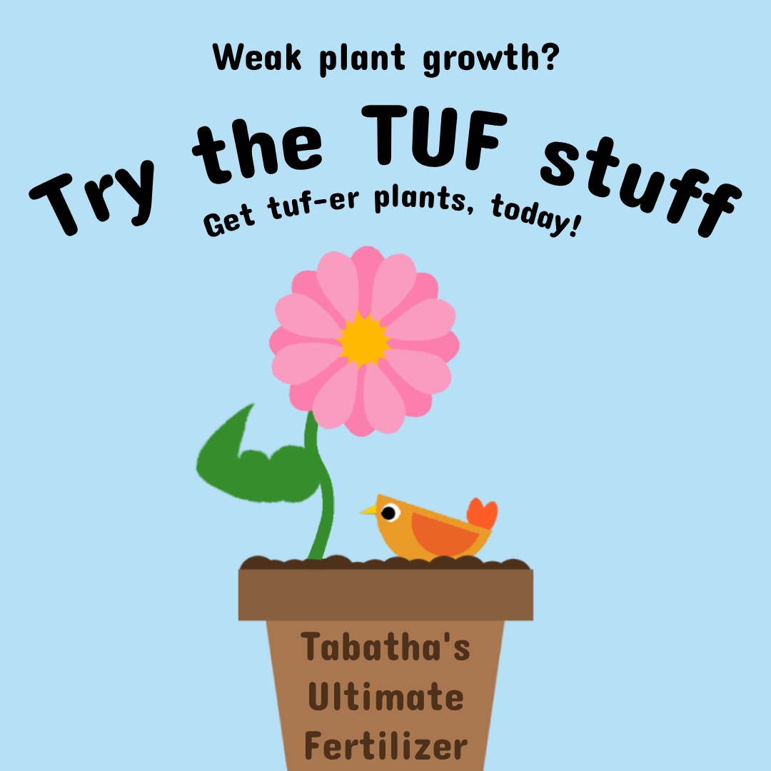 Image of Advertisement